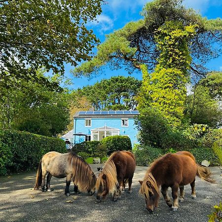 Bay View Cottage St Austell Bagian luar foto