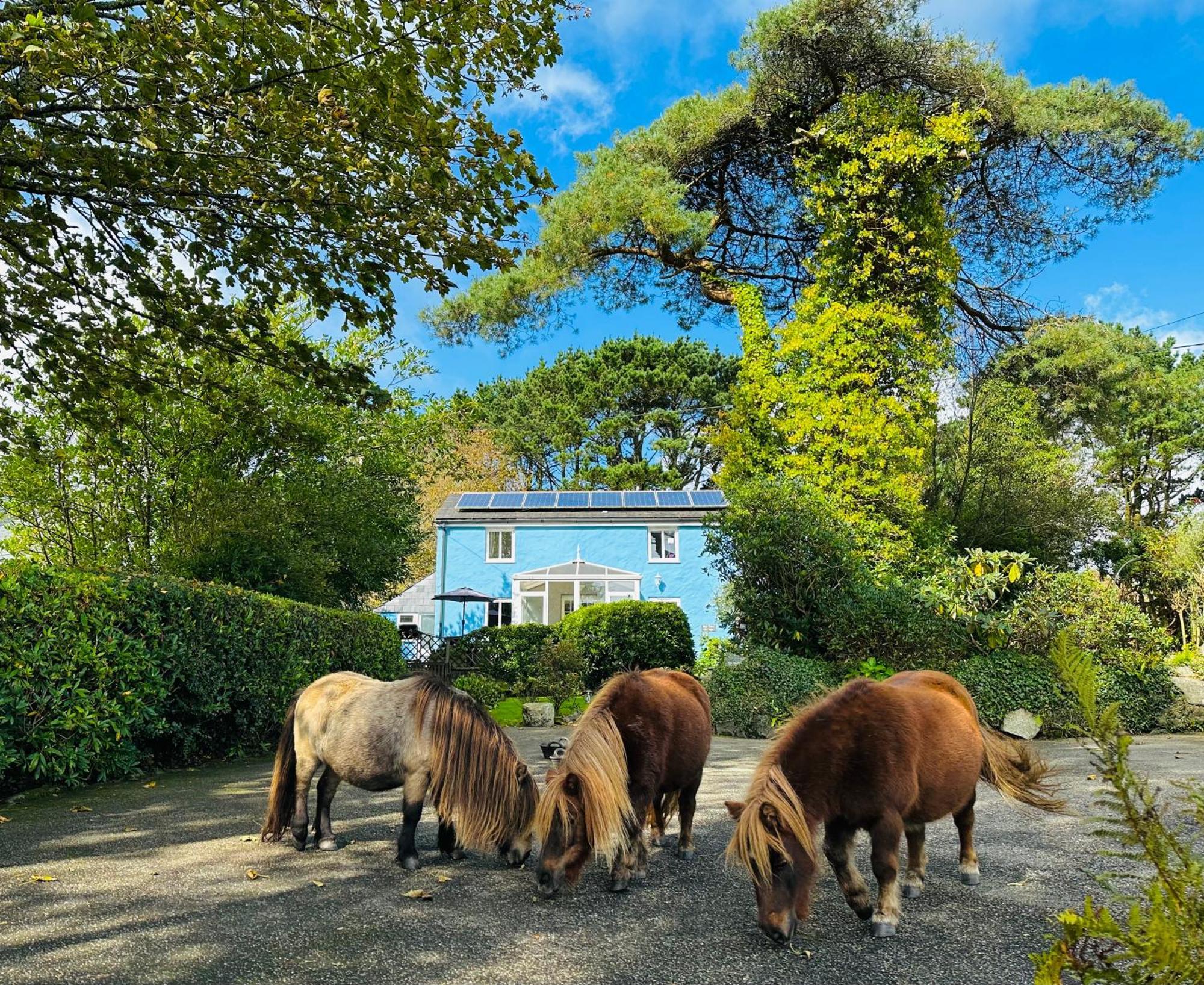 Bay View Cottage St Austell Bagian luar foto