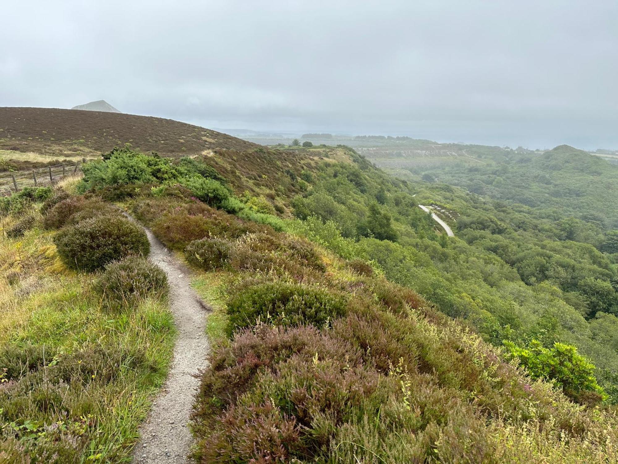 Bay View Cottage St Austell Bagian luar foto